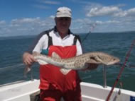 Bull Huss fishing in the Bristol Channel