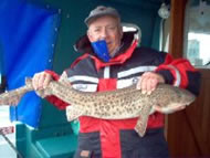 Bull Huss fishing in the Bristol Channel