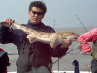 Bull Huss fishing in the Bristol Channel