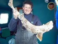 Bull Huss fishing in the Bristol Channel