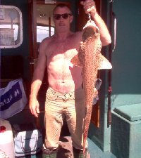 Bull Huss fishing in the Bristol Channel