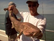 Bull Huss fishing in the Bristol Channel