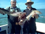 Bull Huss fishing in the Bristol Channel