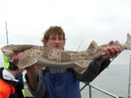 Bull Huss fishing in the Bristol Channel