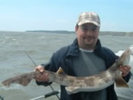 Bull Huss fishing in the Bristol Channel