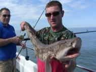 Bull Huss fishing in the Bristol Channel