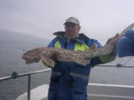 Bull Huss fishing in the Bristol Channel