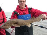 Bull Huss fishing in the Bristol Channel