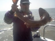 Bull Huss fishing in the Bristol Channel