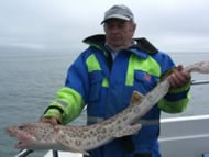 Bull Huss fishing in the Bristol Channel