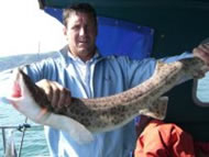 Bull Huss fishing in the Bristol Channel