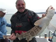 Bull Huss fishing in the Bristol Channel