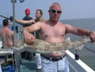 Bull Huss fishing in the Bristol Channel