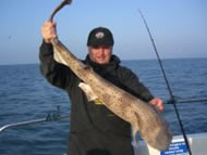 Bull Huss fishing in the Bristol Channel