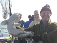 Bull Huss fishing in the Bristol Channel