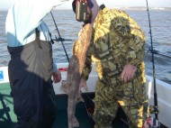 Bull Huss fishing in the Bristol Channel