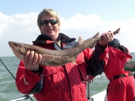 Bull Huss fishing in the Bristol Channel