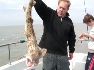 Bull Huss fishing in the Bristol Channel