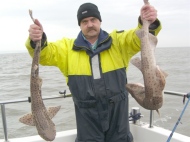 Bull Huss fishing in the Bristol Channel