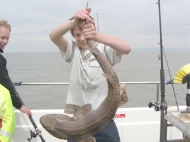 Bull Huss fishing in the Bristol Channel