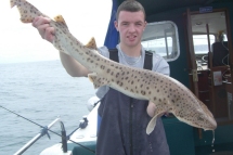 Bull Huss fishing in the Bristol Channel