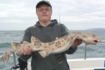 Bull Huss fishing in the Bristol Channel