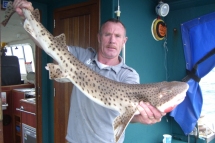 Bull Huss fishing in the Bristol Channel