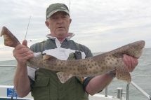 Bull Huss fishing in the Bristol Channel