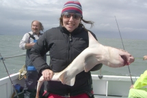 Bull Huss fishing in the Bristol Channel