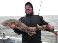 Bull Huss fishing in the Bristol Channel