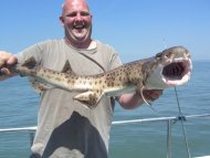 Bull Huss fishing in the Bristol Channel