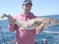 Bull Huss fishing in the Bristol Channel