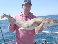 Bull Huss fishing in the Bristol Channel