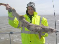 Bull Huss fishing in the Bristol Channel