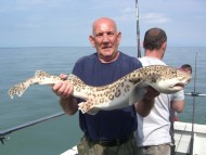 Bull Huss fishing in the Bristol Channel