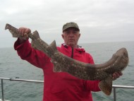 Bull Huss fishing in the Bristol Channel