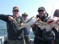 Bull Huss fishing in the Bristol Channel