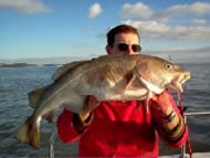 Cod fishing in the Bristol Channel