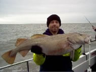 Cod fishing in the Bristol Channel