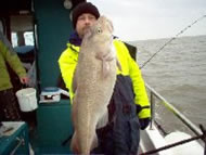 Cod fishing in the Bristol Channel