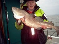 Cod fishing in the Bristol Channel