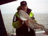 Cod fishing in the Bristol Channel