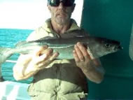 Cod fishing in the Bristol Channel