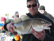 Cod fishing in the Bristol Channel