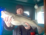 Cod fishing in the Bristol Channel