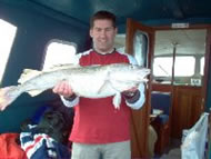 Cod fishing in the Bristol Channel