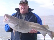 Cod fishing in the Bristol Channel