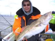 Cod fishing in the Bristol Channel