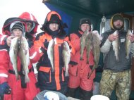 Cod fishing in the Bristol Channel