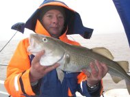 Cod fishing in the Bristol Channel